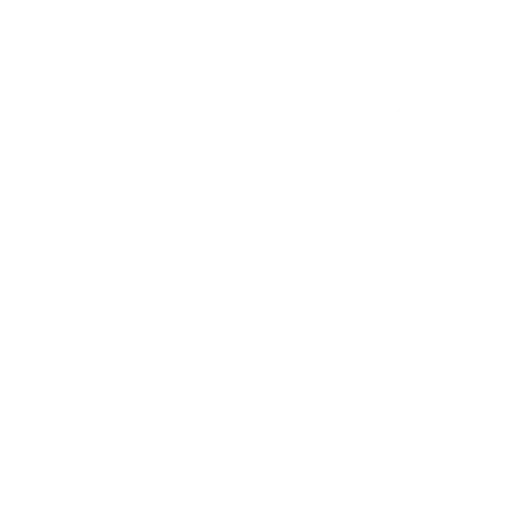 Leadership icon