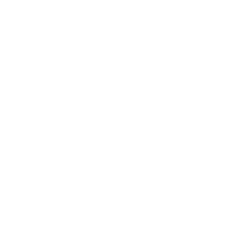 Problem Solving icon